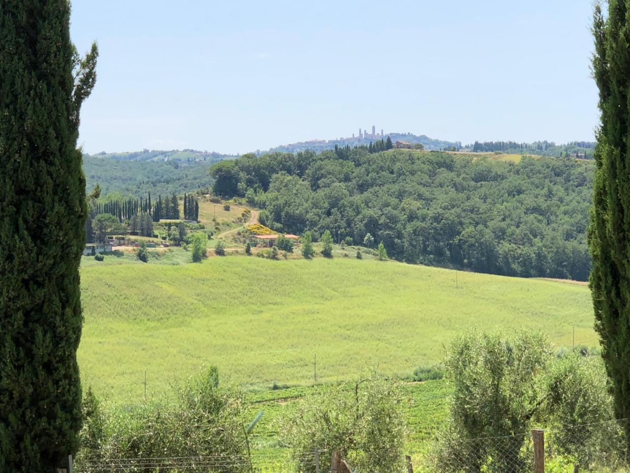 Гостевой дом Agriturismo L'Olmo Сан-Джиминьяно Экстерьер фото