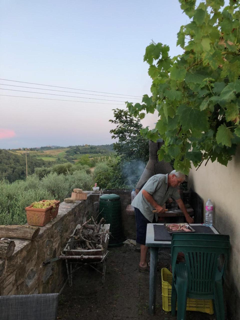 Гостевой дом Agriturismo L'Olmo Сан-Джиминьяно Экстерьер фото